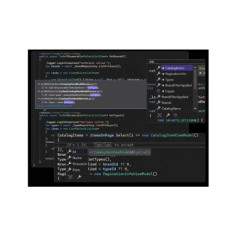 Licencia Microsoft Visual Studio Professional 2019 (PC)