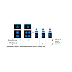 Licencia Microsoft CALs para SQL Server 2019